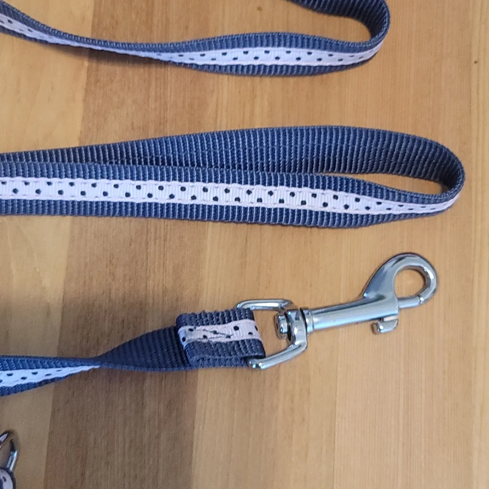 Femle Dog Polkadot HARNESS and MATCHING LEASH